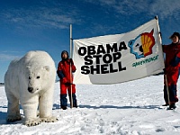 США и Канада «зеленеют» на глазах: разработка арктического шельфа и Атлантики оказалась под запретом